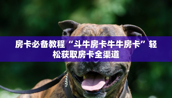 玩家必备教程“哪里购买炸 金花链接房卡”详细房卡怎么购买教程 玩家必备教程“哪里购买炸 金花链接房卡”详细房卡怎么购买教程