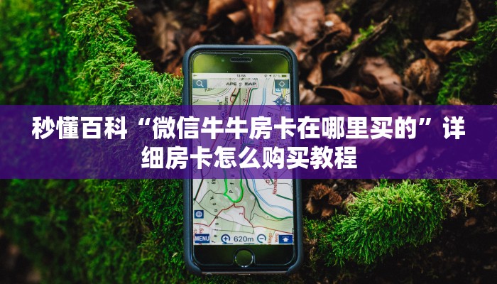 玩家攻略“微信群金花房卡哪里充值”轻松获取房卡全渠道