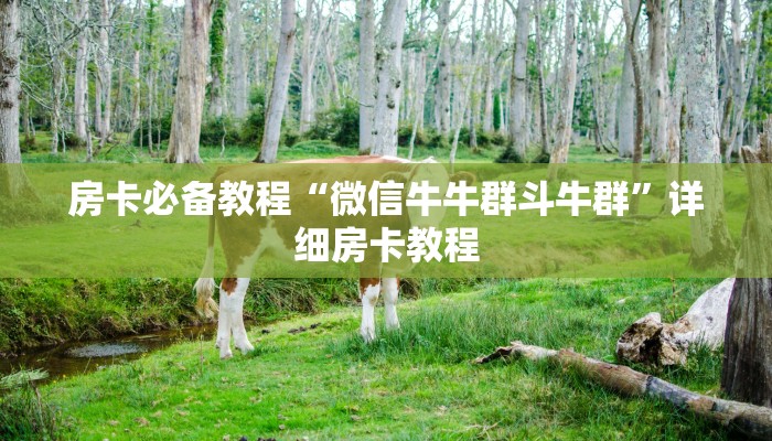 房卡必备教程“微信牛牛群斗牛群”详细房卡教程