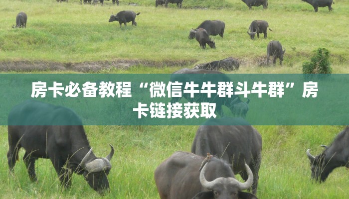 房卡必备教程“微信牛牛群斗牛群”房卡链接获取