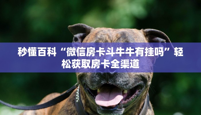 房卡必备教程“炸 金花客服代理”获取房卡教程-哔哩哔哩