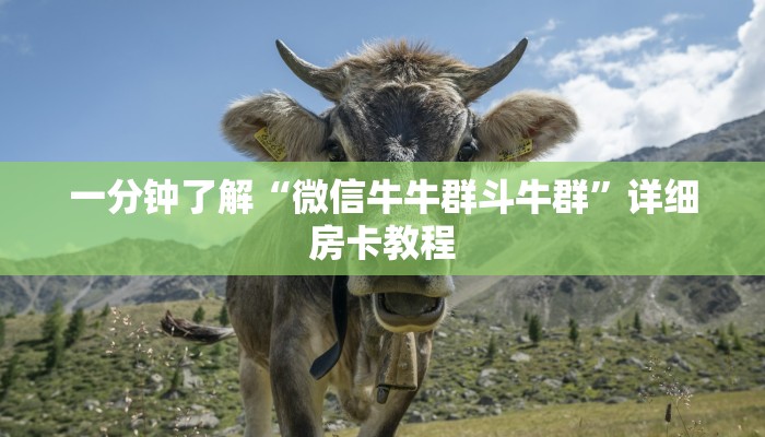 全攻略普及“微信牛牛房卡怎么搞”详细房卡使用教程