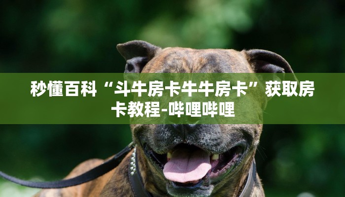 秒懂百科“斗牛房卡牛牛房卡”获取房卡教程-哔哩哔哩